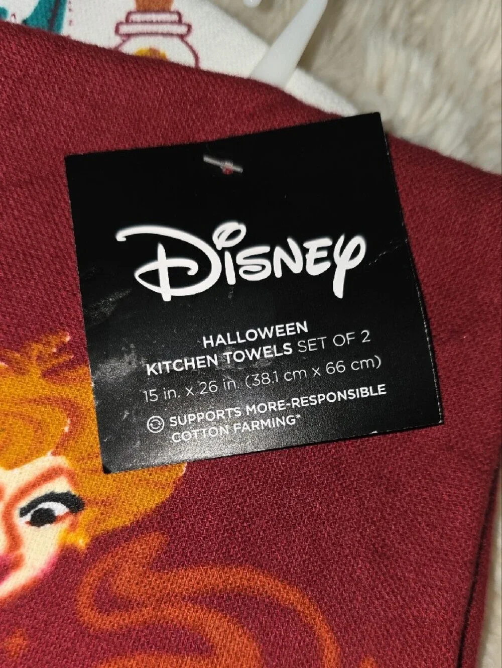 Disney hocus pocus